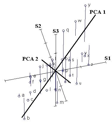 Principal components or eigenvectors representing the axes of inertia of the data point structure, ref.: ordination.okstate.edu/ PCA